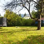 Bed & Breakfast Viola