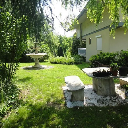 Viola B&B 모스부르크