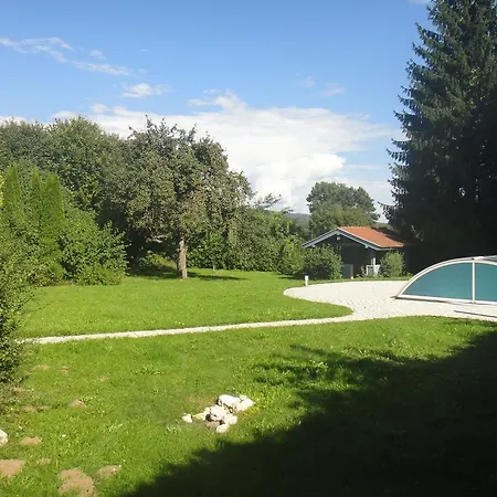 B&B Viola 2*