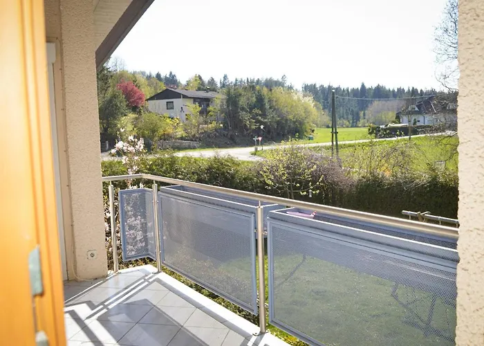 Viola מוסבורג